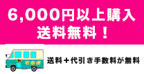 6,000円以上から送料無料